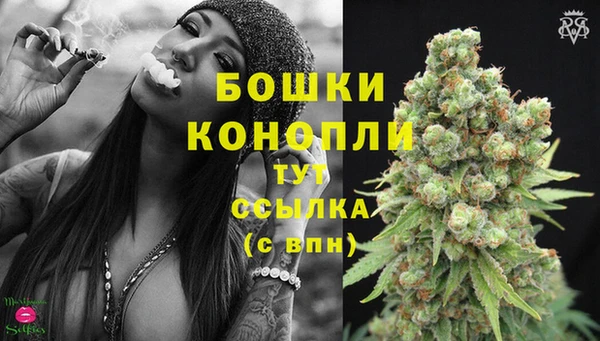 прущий лед Арсеньев
