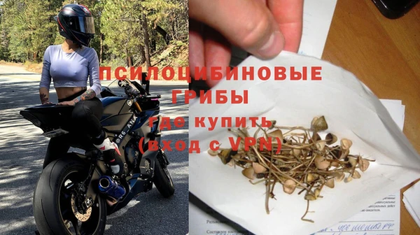spice Армянск