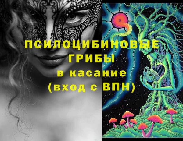 spice Армянск
